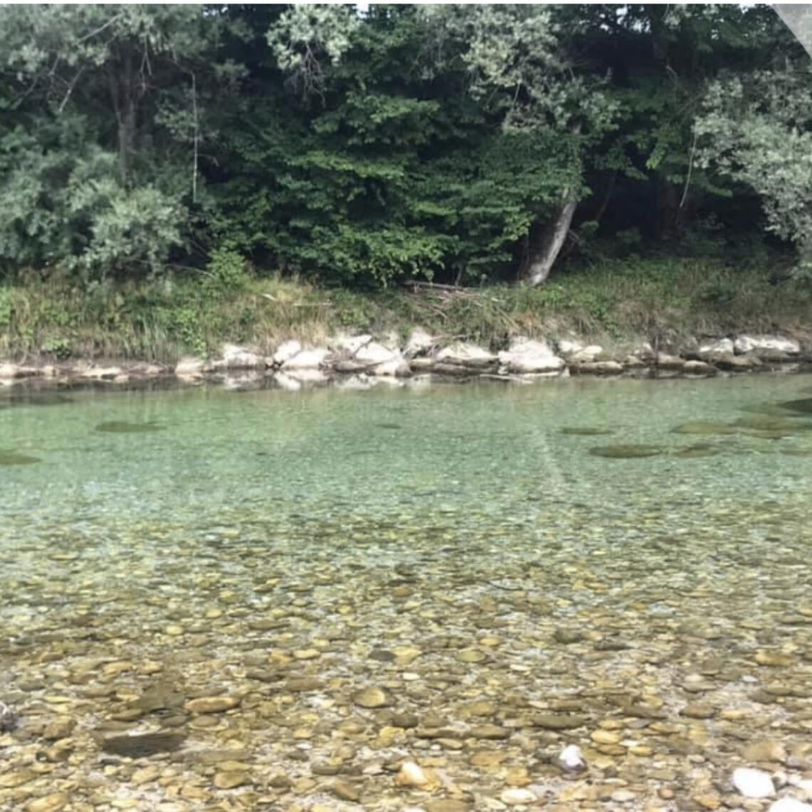 Glasklares Flusswasser - Foto von Michael Trauners Radurlaub