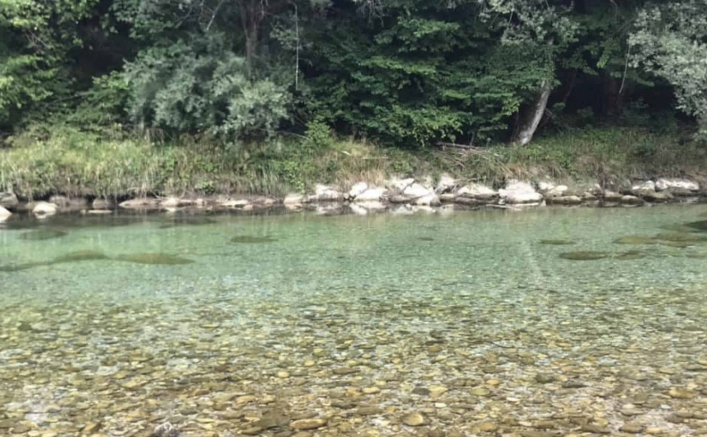 Glasklares Flusswasser - Foto von Michael Trauners Radurlaub