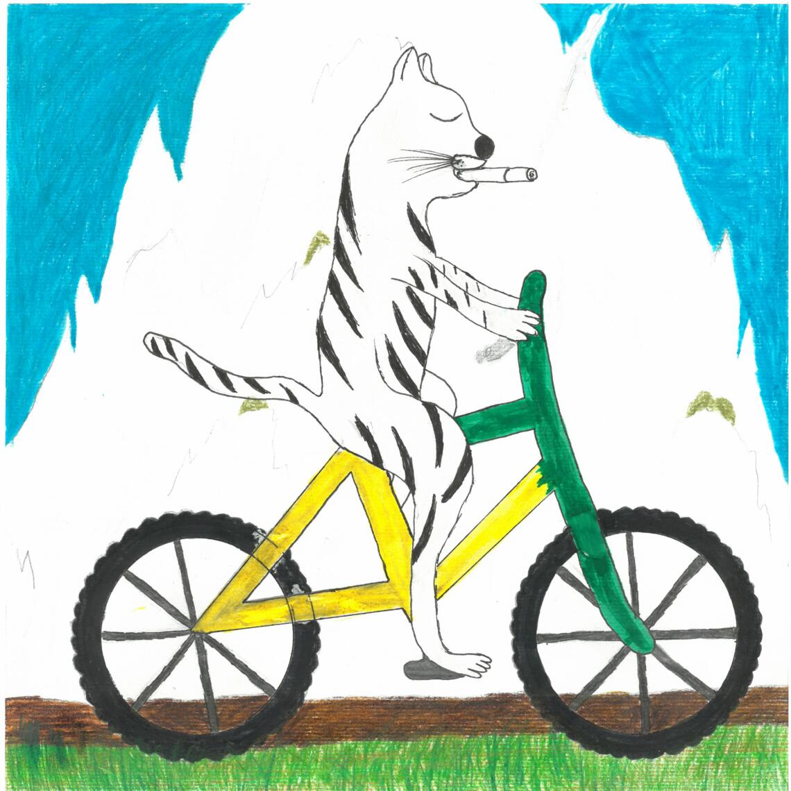 Kinderzeichnung Zebra fährt mit Fahrrad