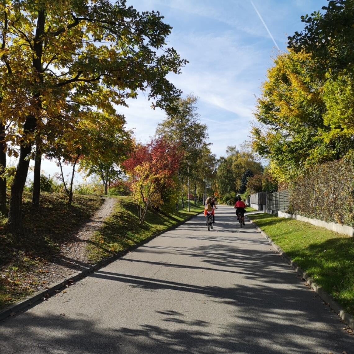 Traunuferstraße in Wels bald Fahrradstraße