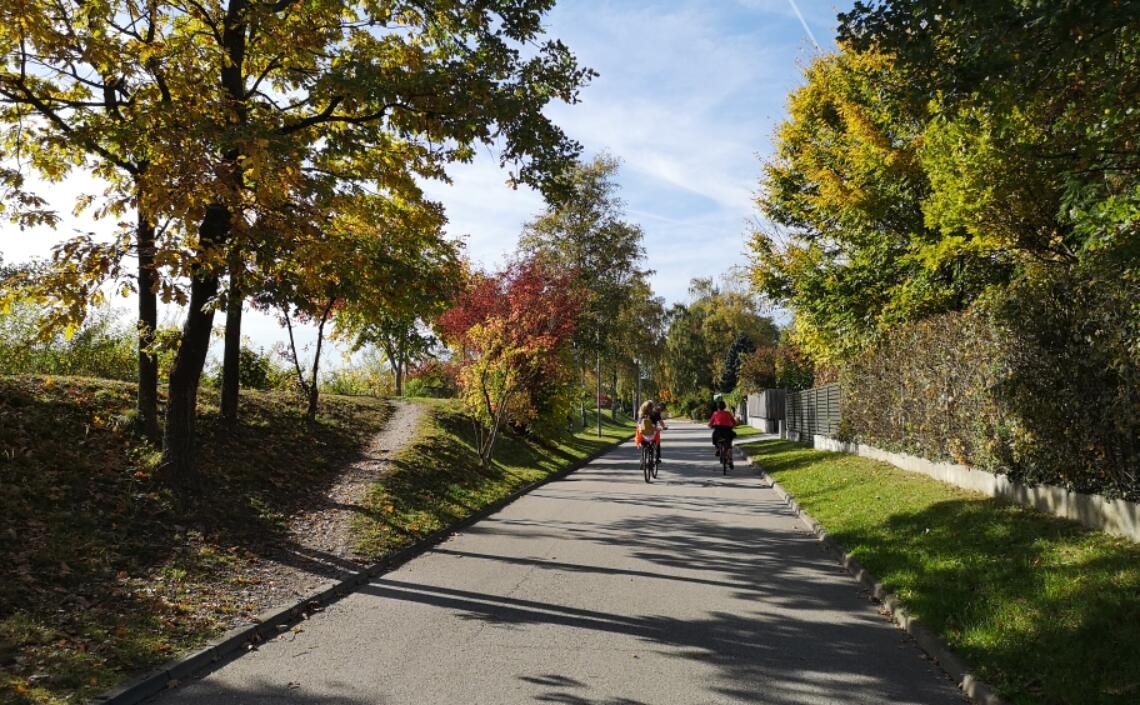 Traunuferstraße in Wels bald Fahrradstraße